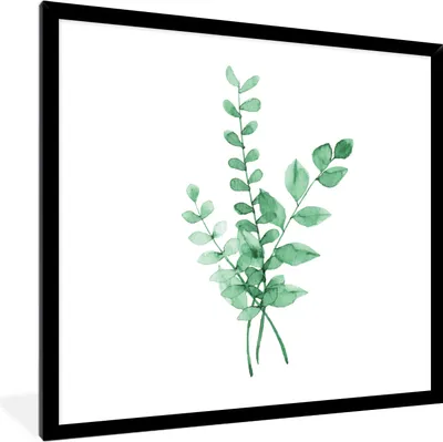 Produktbild von MuchoWow® MuchoWow® Gerahmtes Poster Aquarelle - Blätter - Pflanzen 40x40 cm - Poster mit zchwarzem Bilderrahmen - Mit Rahmen - Wanddekoration Schlafzimmer