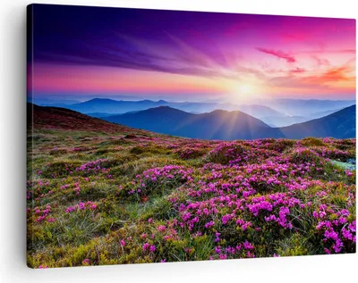 Produktbild von Bild auf Leinwand - Leinwandbild - Wiese Berg Himmel Landschaft - 70x50cm - Wand Bild - Wanddeko - Leinwanddruck - Bilder - Kunstdruck - Wanddekoration - Leinwand bilder - Wandkunst - AA70x50-2719