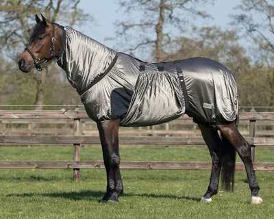Produktbild von QHP Ekzemerdecke Komfort