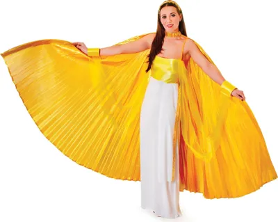 Image de Bristol Novelty Costume d'aile de théâtre pour femme BN2216 (taille unique) (Or)