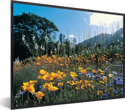 Produktbild von MuchoWow® Gerahmtes Poster Blumen - Natur - Farbe 80x60 cm - Poster mit Schwarzem Bilderrahmen Wandposter Rahmen Foto Bilder - Schwarzem - Mit Gestell