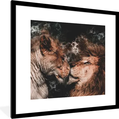 Produktbild von MuchoWow® MuchoWow® Gerahmtes Poster Löwe - Rauchen - Liebe 40x40 cm - Poster mit zchwarzem Bilderrahmen - Poster - Plakat im Rahmen