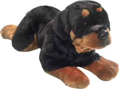 Obrázok produktu pre Carl Dick Rotvajler pes ležiaci cca 40cm plyšák, mäkká hračka, plyšová hračka 3656