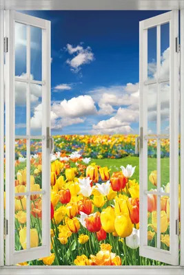 Produktbild von Wallario Poster mit Fenster-Illusion: Tulpenwiese unter blauem Himmel, Größe: 61 x 91,5 cm (Maxiposter)