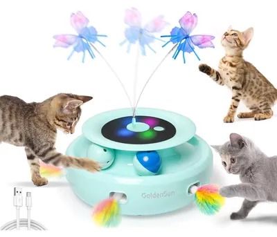 Interaktives Katzenspielzeug 3-in-1, automatisch, USB, mit Ball