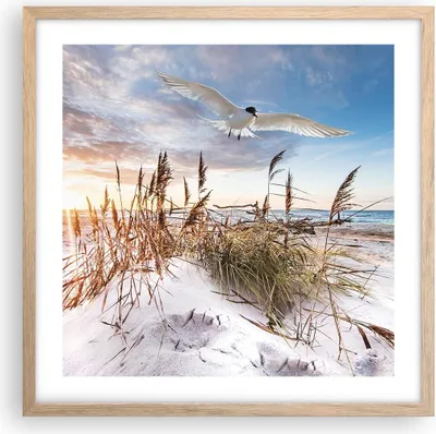 Produktbild von Gerahmtes Poster - Rahmen in heller Eiche - Möwe Meer Küste - 50x50 cm - Wand Bild - Wanddeko - Wandbilder - Kunstposter - Wandposter - Bilderrahmen - Bilder - Kunstdruck - P2NAC50x50-4902