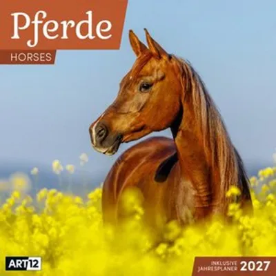 Produktbild von Pferde Kalender 2027 - 30x30 - Art12