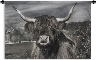 Produktbild von MuchoWow® Wandteppich Wandbehang Schottischer Highlander - Tiere - Hörner 150x100 cm Tapisserie Dekoration Wandtuch - Waschbar - Tapisserien - Wand-Decke