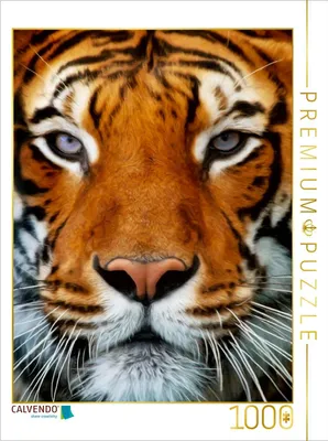 Immagine prodotto di Calvendo Tiger Portrait, puzzle da 1000 pezzi, 480 x 640 mm, Angela Dölling; 7363285