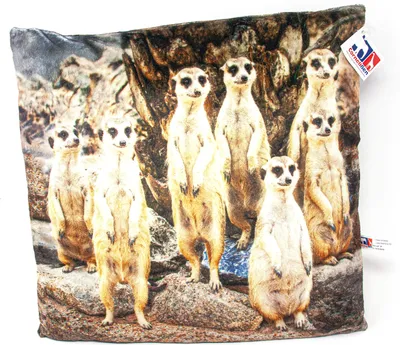 Produktbild von Stoffkissen - Erdmännchen - 35x35