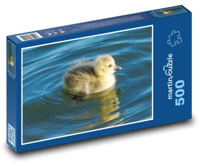 Zdjęcie produktu dla Puzzle 500 Gąsiątko na wodzie - martinpuzzle