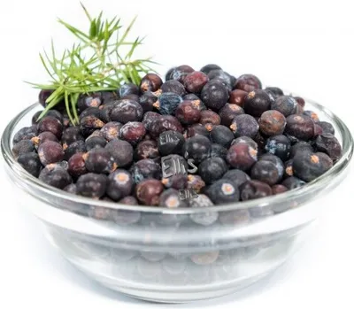 Produktbild von Wachholderbeeren 3-fach gesiebt - Ellis Gewürz