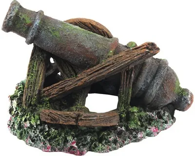 Image de Canon