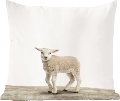 Produktbild von MuchoWow® Zierkissen Sofakissen Wohnzimmer Dekokissen 45x45 cm Lamm - Schaf - Tiere - Kinder - Mädchen - Jungen - Schlafpolster - Polster für das Sofa