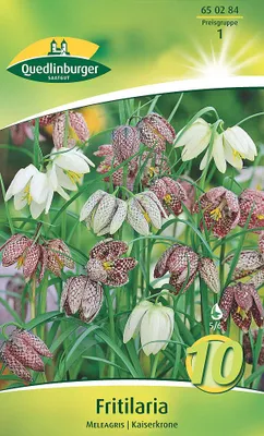 Artikelbild 2 von 'Fritillaria Schachbrettblumen (10 Stück)' aus der Kategorie Blumenzwiebeln
