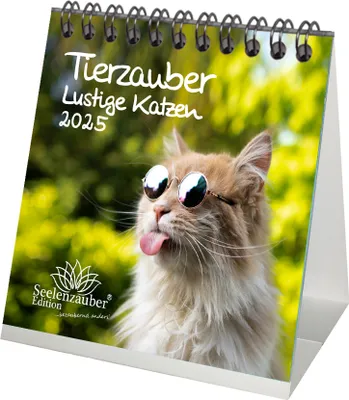 Produktbild von Tierzauber lustige Katzen Kalender für 2025 Format 10cm x 10cm Lustige Katzen - Seelenzauber