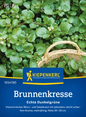 Artikelbild 2 von 'Brunnenkresse Echte Dunkelgrüne' aus der Kategorie Kressesamen