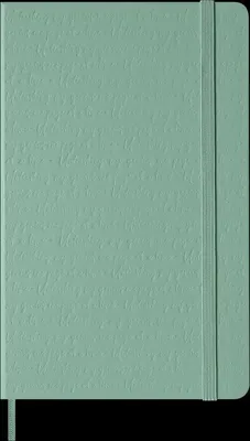 Obrázok produktu pre Zápisník Moleskine L/A5, linajkovaný, tvrdé dosky, šalviovo zelená