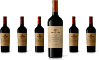 Produktbild von 6 x Salentein  Barrel Selection Malbec – 2019
