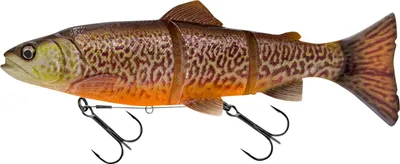 Zdjęcie produktu dla Savage Gear 3D Line Thru Trout (Tiger Trout)