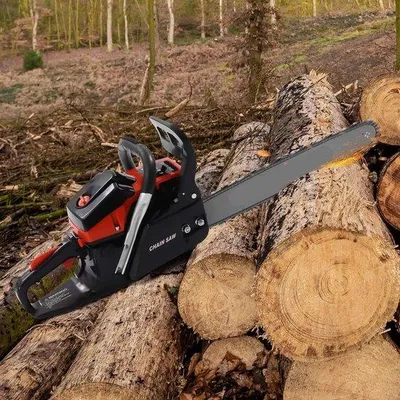 Image de Sécateur à essence