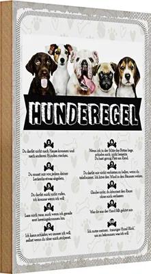 Produktbild von Holzschild Spruch 20x30cm Hunderegel lass mich raus