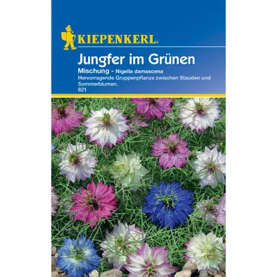 Produktbild von Kiepenkerl Jungfer im Grünen Samen Mischung