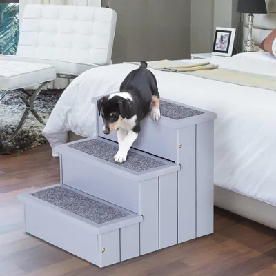 Immagine prodotto di Scala per cani con spazio contenitore | Colore: Grigio | Dimensioni: 40,5 x 44,5 x 38 cm