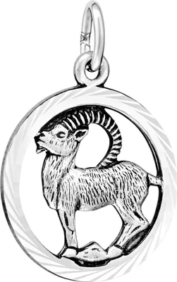 Produktbild von NKlaus 18mm Sternzeichen Steinbock oxidiert 925 Silber diamantiert Anhänger Horoskop 13712