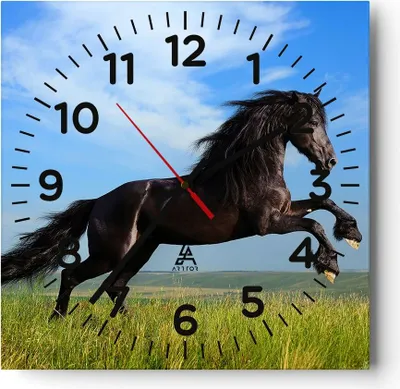 Produktbild von Wanduhr - Quadrat - Glasuhr - Schwarzes Pferd Pferd Galopp - 30x30cm - Schleichendes Uhrwerk - Lautlos - zum Aufhängen bereit - Dekoration Modern - Wanddekoration aus Glas - C4AC30x30-0495