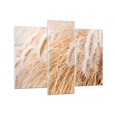 Produktbild von Bilder auf glas - 3 Teile - Gras Boho Licht - 130x100cm - Glasbilder - Wandbilder - Bilder - zum Aufhängen bereit - Wanddekoration aus Glas - Glas Bilder - Wandbild auf Glas - GCB130x100-4903
