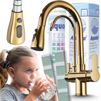 Produktbild von 3-Wege Küchenarmatur NORDIC mit Wasserfilter-Anschluss, herausziehbare Brause, 360° schwenkbar, getrennte Wasserwege, Keramikkartusche Gold