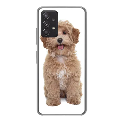 Produktbild von MuchoWow® Handyhülle Schutzhülle Hülle für Samsung Galaxy A33 5G Hund - Haustiere - Fell Silikon Softcase Handy Hülle - Kartenhalter