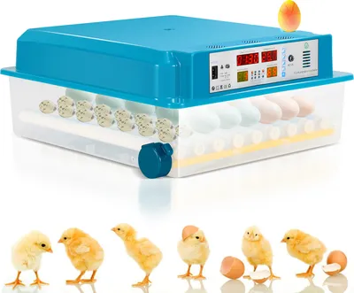 Image de Clanmacy Incubateur Incubateur automatique 64 incubateurs avec tour automatique, contrôle de la température et de l'humidité pour oie de poulet, canard, pigeon, caille