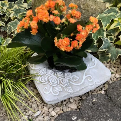 Produktbild von Grabschale Pflanzschale XL Pflanztopf Pflanzenschale Blumentopf Kissen Design ca.4300g
