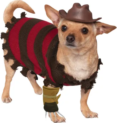 Produktbild von Freddy Kreuger Pet Costume - Size M