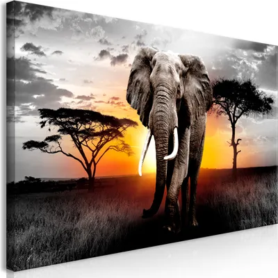Produktbild von Wandbild Mega XXXL Afrika 250x125 cm Einteiliger XXL-Format Kunstdruck zur Selbstmontage Leinwandbilder moderne Bilder DIY Wanddekoration Wohnung Deko Landschaft Natur Elefant g-C-0054-ak-g