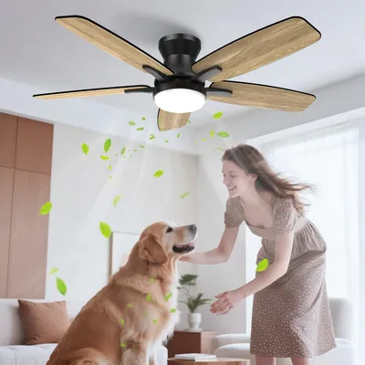 Deckenventilator mit Licht, 106 cm, leise, 6 Stufen, dimmbare LED, Timer