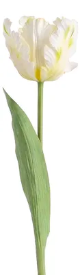 Obrázok produktu pre Clayre & Eef, umelá kvetina, biela, plast