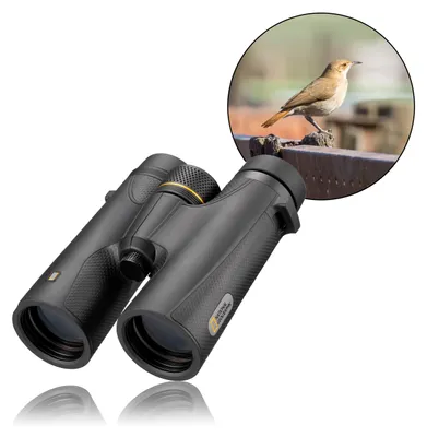 Produktbild von National Geographic Explorer Fernglas für Vogelbeobachtung 8x42 wasserdicht