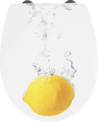 Obrázok produktu pre Toaletné sedadlo s vekom Premium – 47 x 37 x 6 cm