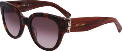 Image de LONGCHAMP LO733S 230 HAVANA 52/22/140 FEMALE Lunettes de soleil