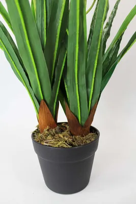 Produktbild von Künstliche Orchidee Weiß in Gräser Kunstgras Dekogras 85 cm mit 33 Blüten Kunstpflanze