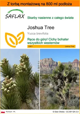 Zdjęcie produktu dla SAFLAX - Garden in the bag - Joshua Tree - 10 Nasiona - Z podłożem uprawowym w praktycznej, samorozkładającej się torbie - Yucca brevifolia