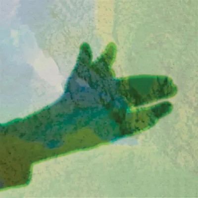 Image de Camo