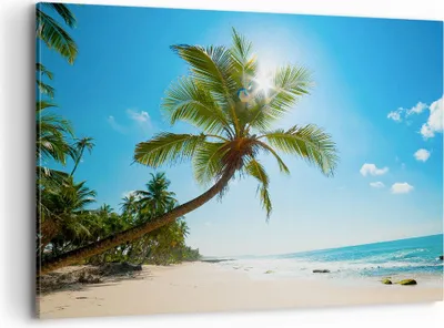 Produktbild von Bild auf Leinwand - Leinwandbild - Strand Palme Meer - 120x80cm - Wand Bild - Wanddeko - Wandbilder - Leinwanddruck - Bilder - Kunstdruck - Wanddekoration - Leinwand bilder - Wandkunst - AA120x80-3570