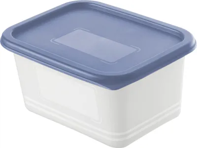 Produktbild von Rotho Gefrierdosen-Set Domino, 4 Stück à 0,75 L, blau, Frischhalte- und Kühlschrankdose aus Kunststoff PE, 15,7 x 11,8 x 13,2 cm (L x B x H), tiefkühlgeeignet bis -40°, mikrowellentauglich, spülmaschinengeeignet, BPA-frei, mit luftdichtem, geruchsisoliertem Verschluss und wiederbeschriftbarem Schriftfeld, 0655706331