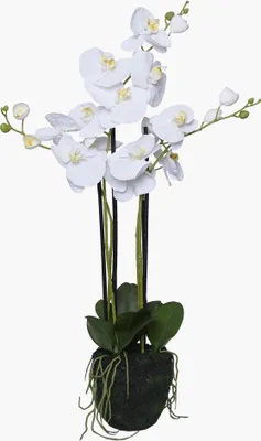 Produktbild von VIVANNO Kunstpflanze Kunststoff ORCHIDELIS, Weiß - 50x87 cm