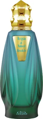 Immagine prodotto di Acqua di Nabeel Absolute 100ml EDP