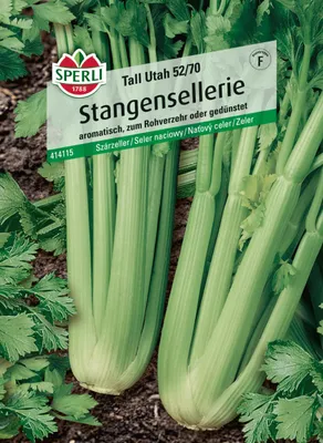 Produktbild von Sperli Saatgut Stangensellerie Tall Utah 52/70 für ca. 250 Pflanzen